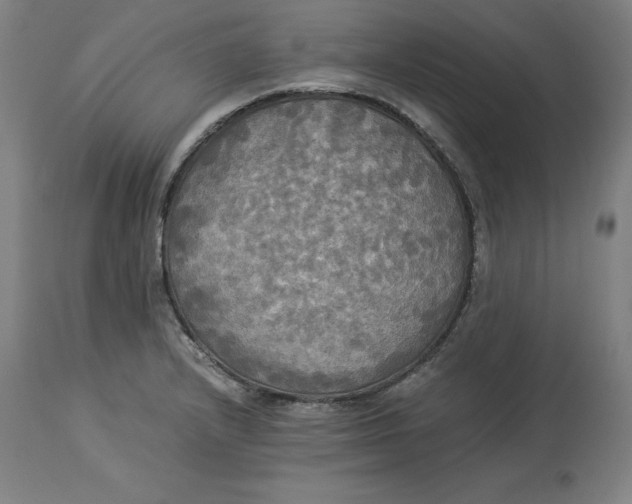 X0000114541232200911091125