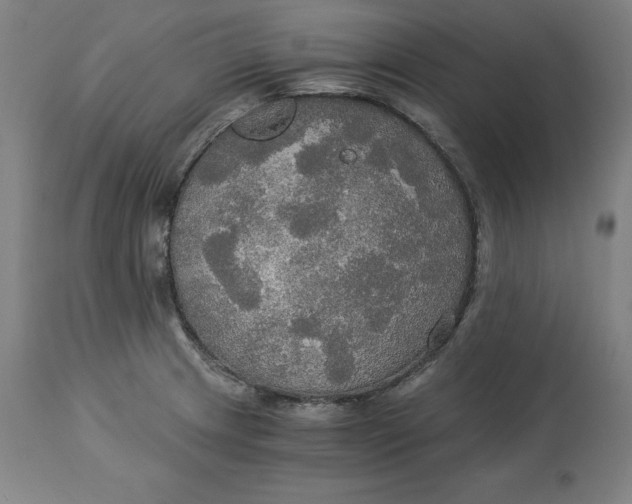 X0000114541233200911091125