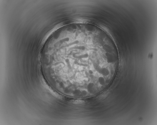 X0000114541235200911091125