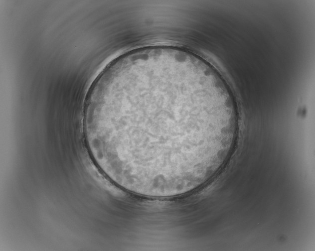 X0000114541236200911091125