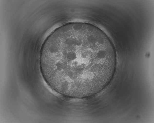 X0000114541237200911091125