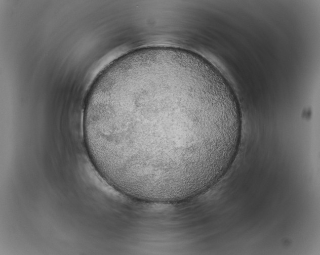 X0000114541238200911091125