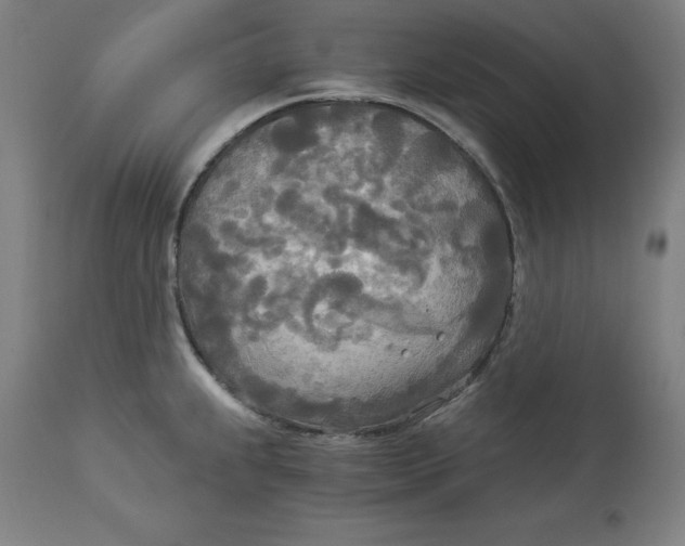 X0000114541239200911091125