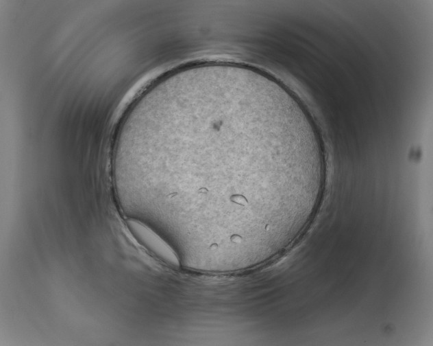 X0000114541240200911091125