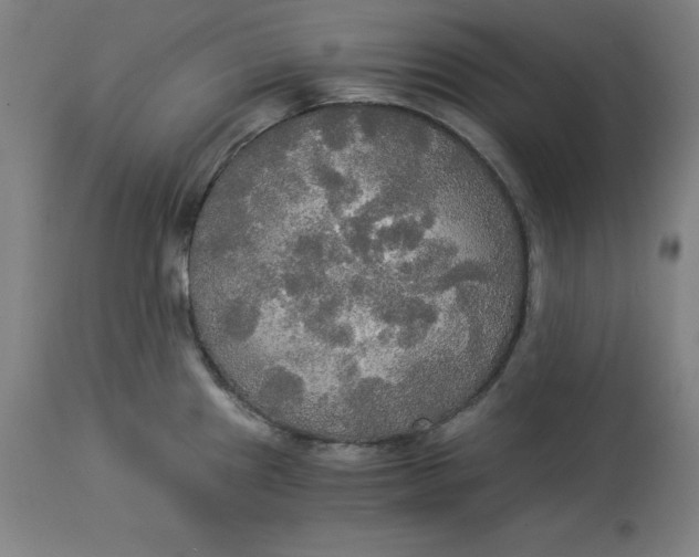 X0000114541241200911091125