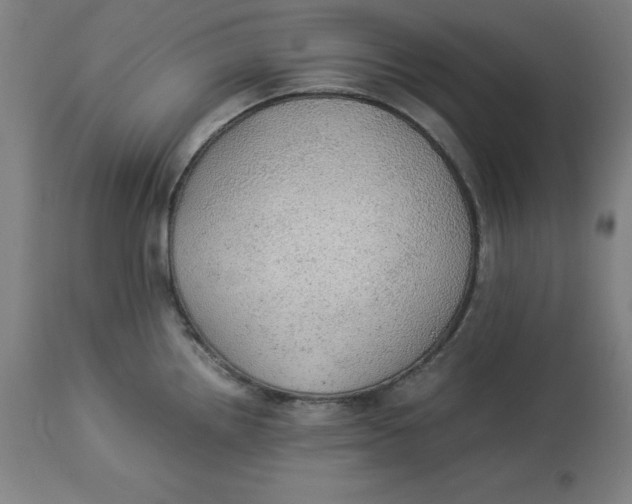 X0000114541242200911091125