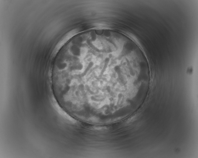 X0000114541243200911091125