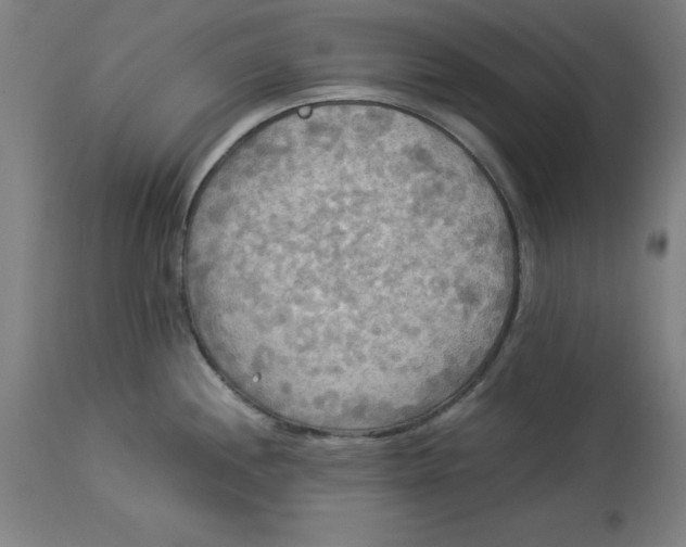 X0000114541244200911091125