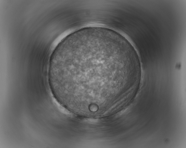 X0000114541245200911091125