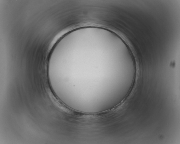 X0000114541246200911091125