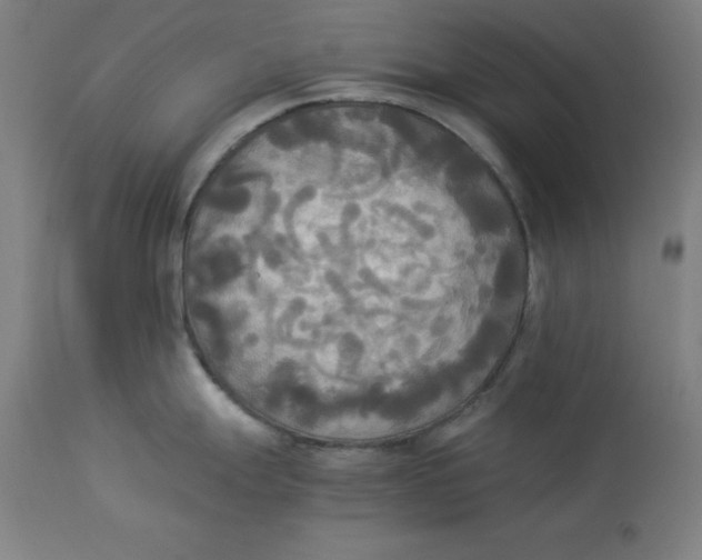 X0000114541247200911091125