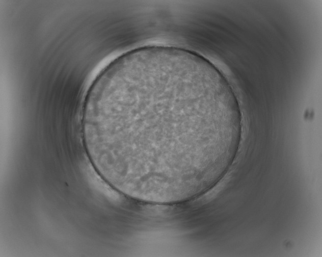 X0000114541248200911091125