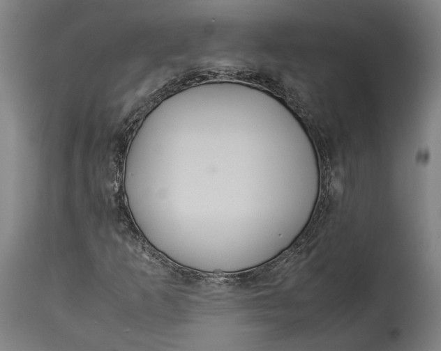 X0000114541253200911091125