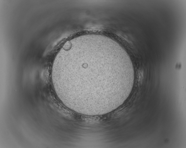 X0000114541254200911091125