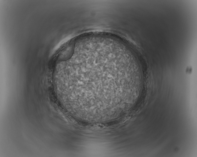 X0000114541255200911091125