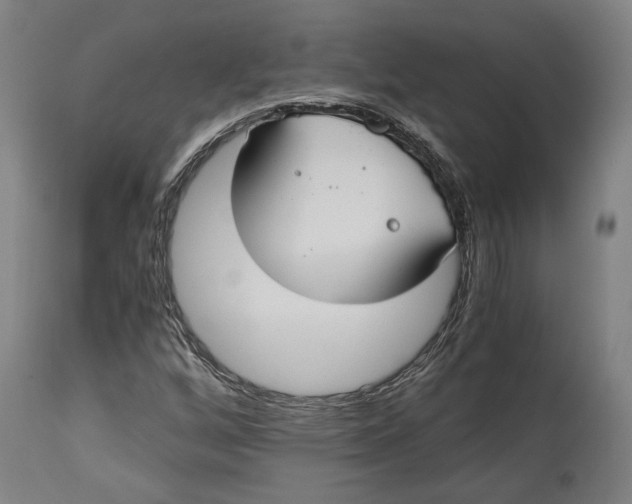 X0000114541256200911091125