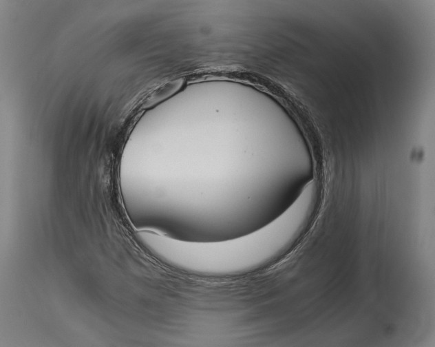 X0000114541257200911091125