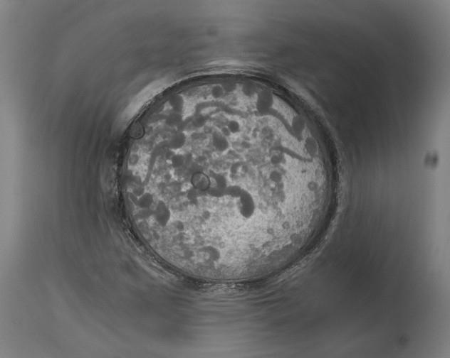 X0000114541259200911091125