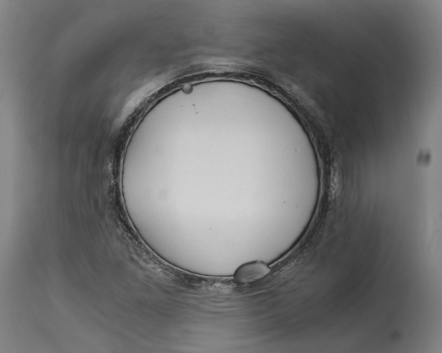 X0000114541261200911091125