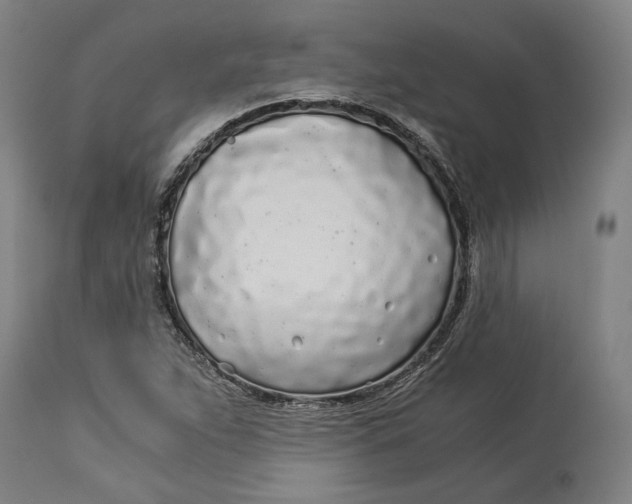 X0000114541263200911091125