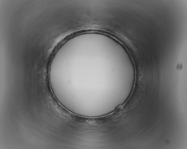 X0000114541264200911091125