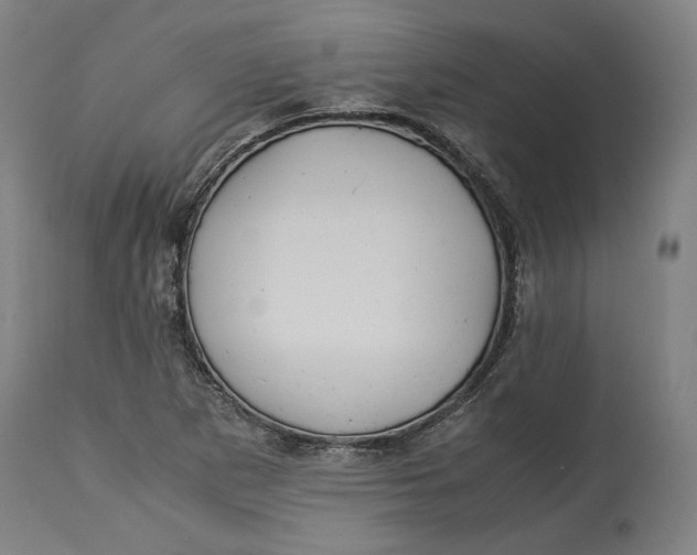 X0000114541265200911091125