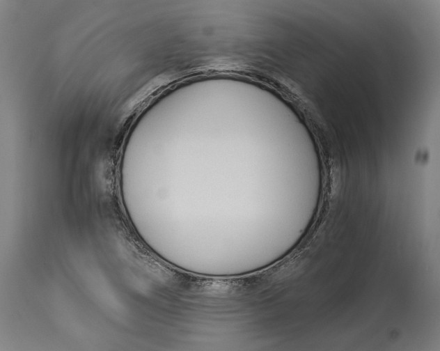 X0000114541266200911091125