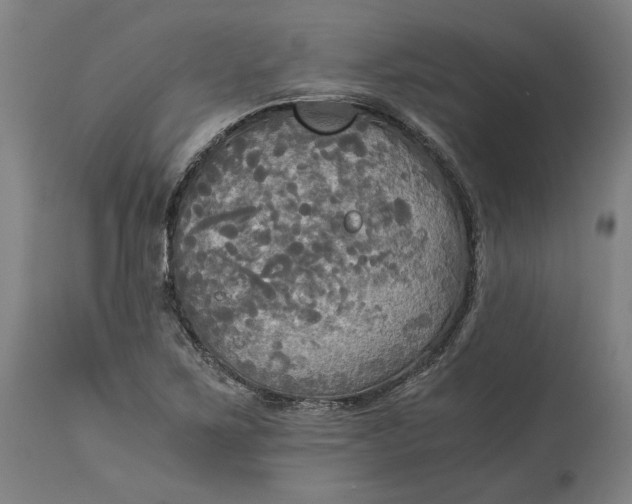 X0000114541267200911091125