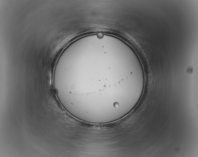 X0000114541269200911091125