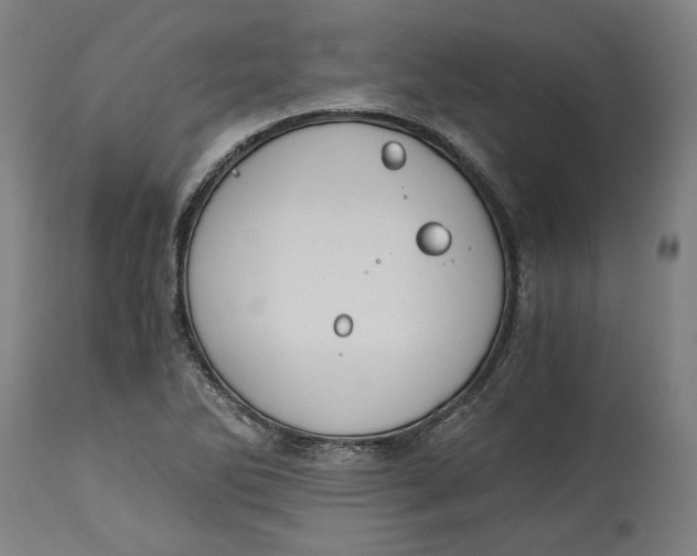 X0000114541270200911091125