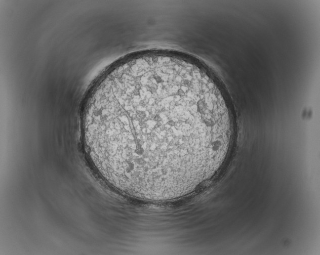 X0000114541271200911091125