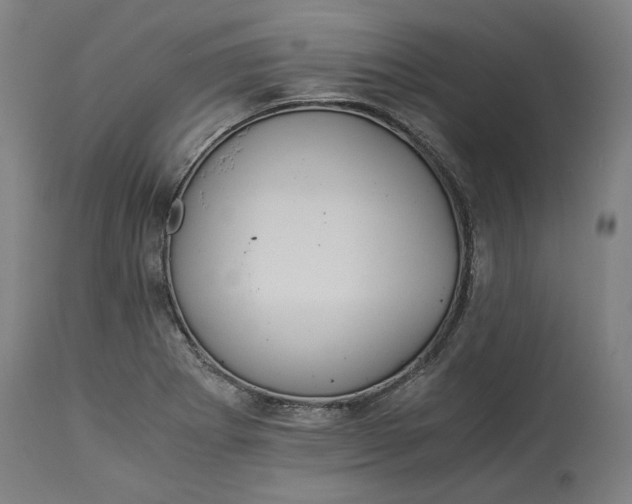 X0000114541273200911091124