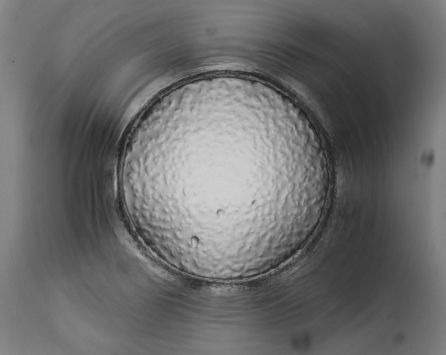 X0000114541274200911091124