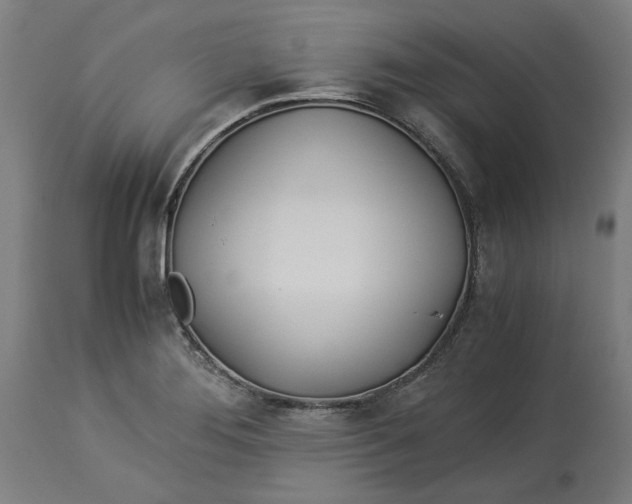 X0000114541276200911091124