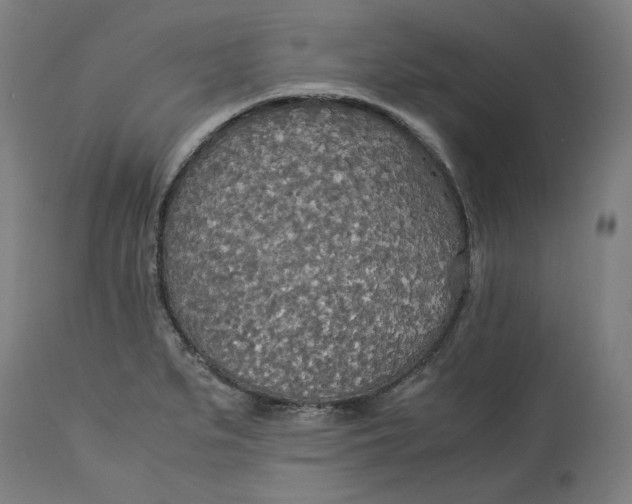 X0000114541279200911091124