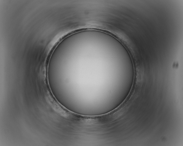 X0000114541280200911091124