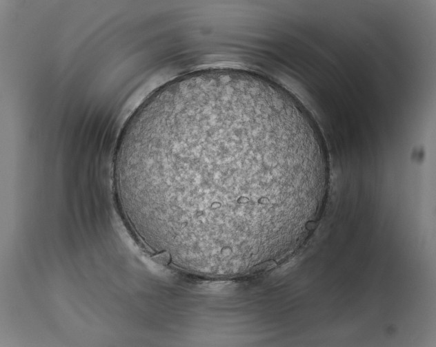 X0000114541282200911091124