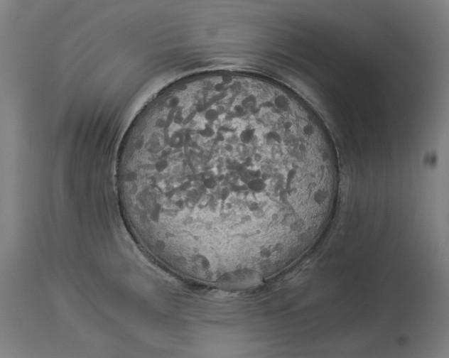 X0000114541283200911091124