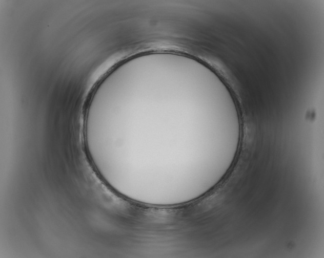 X0000114541286200911091124