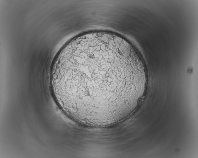 X0000114541287200911091124