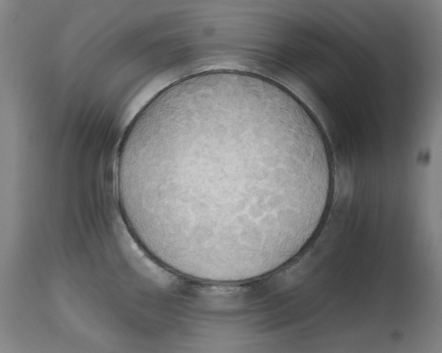 X0000114541290200911091124