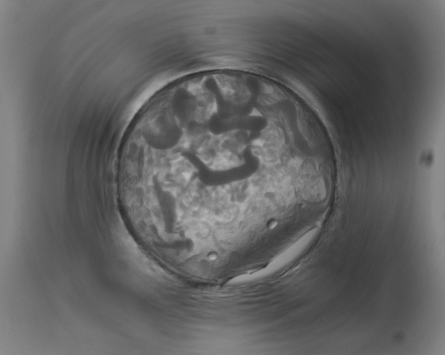 X0000114541291200911091124