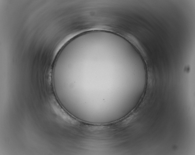 X0000114541292200911091124