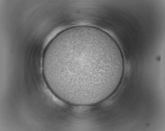 X0000114541294200911091124