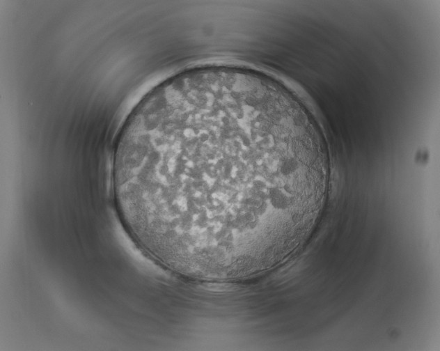 X0000114541295200911091124