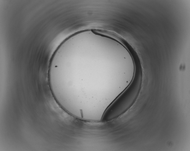 X0000114541296200911091124