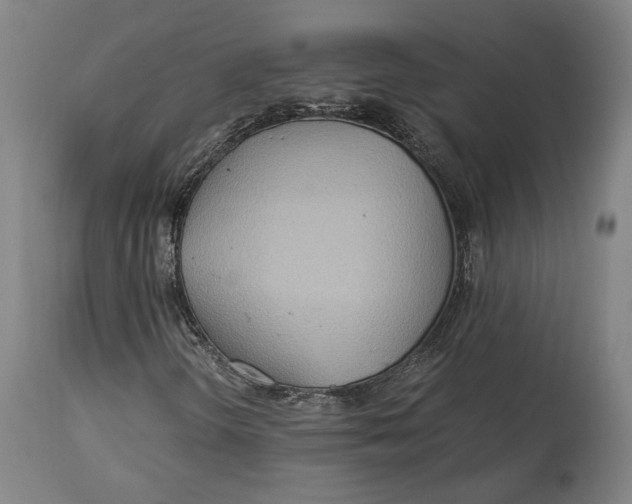 X0000114541298200911091124