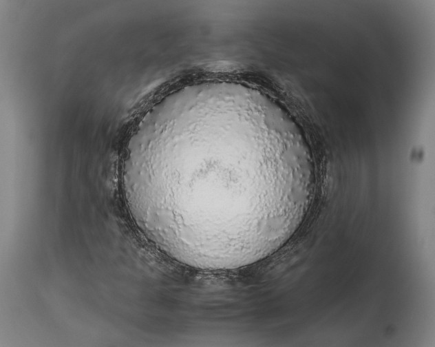 X0000114541301200911091124