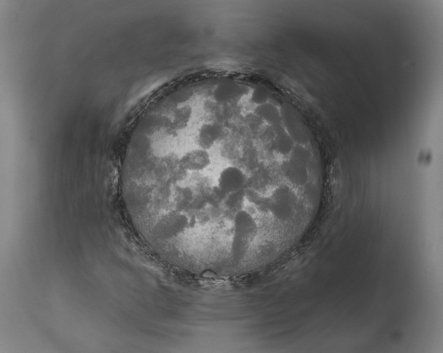 X0000114541302200911091124