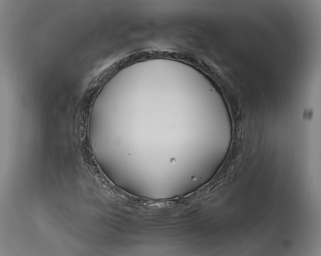 X0000114541303200911091124